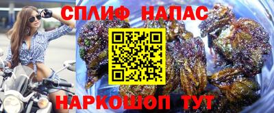 сатива Нарткала