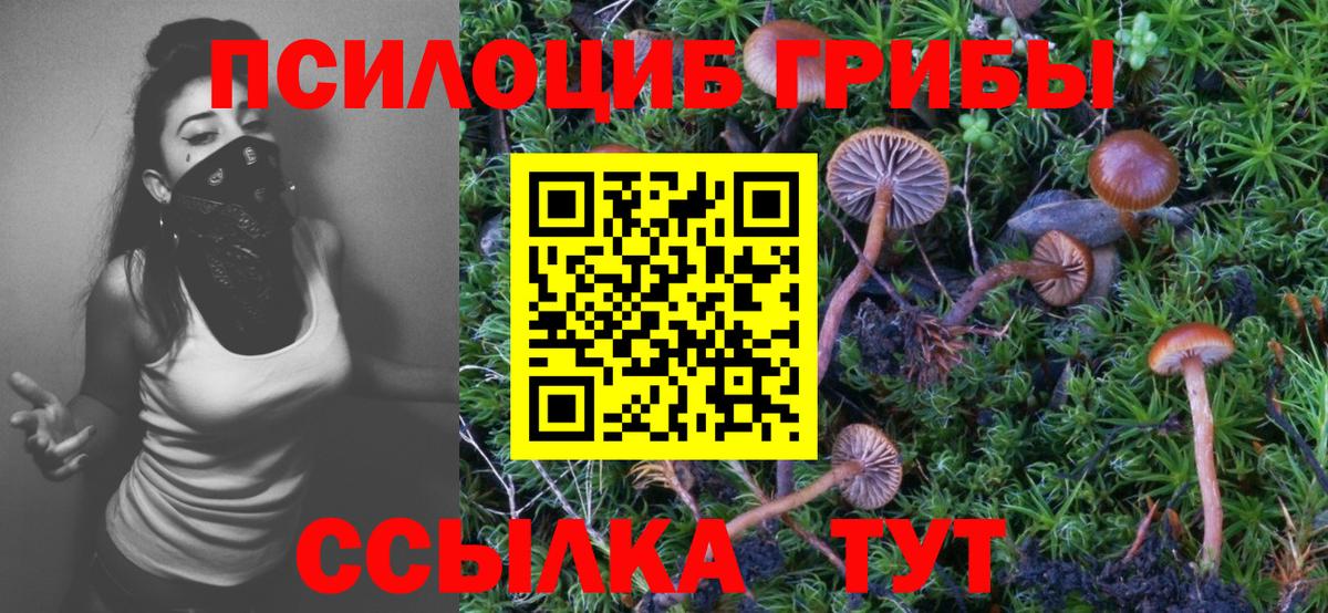 купить наркоту  Псилоцибиновые грибы Psilocybine cubensis  Вход с VPN  Домодедово 