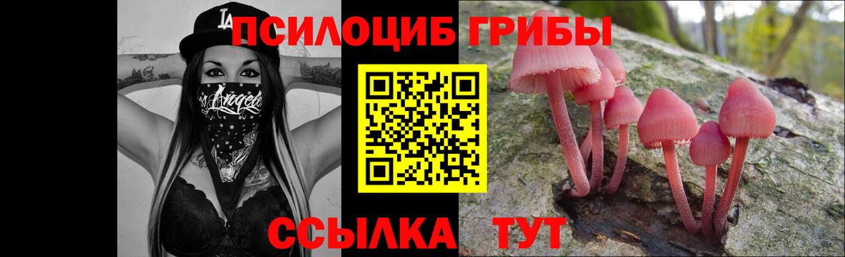 Псилоцибиновые грибы MAGIC MUSHROOMS Домодедово